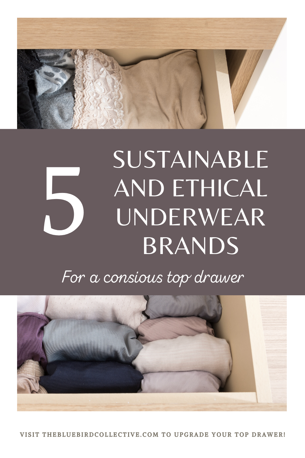 5 Ethical and Sustainable Underwear Brands